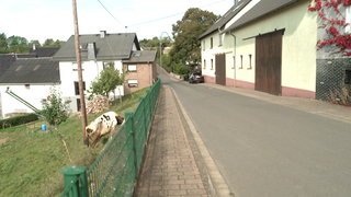Rodder Talstraße