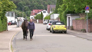 Hierzuland Lambrecht Wiesenstraße