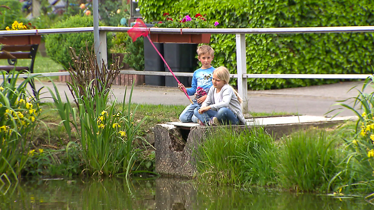 Hierzuland Buborn, Kinder an Weiher