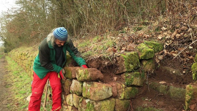 Bärweiler - Bau einer Trockenmauer
