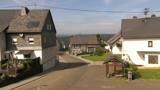 hzl-liesenich