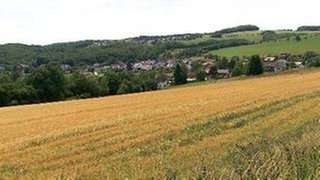 Hentern