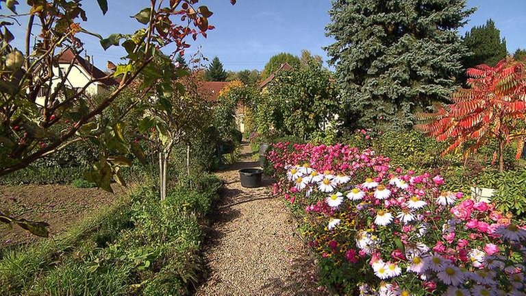 Winterborn Garten