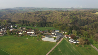 hzl-lorich
