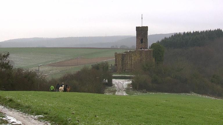 Burg Ardeck