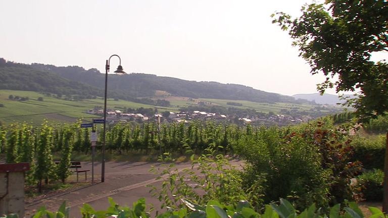Wohnen mit Traumaussicht