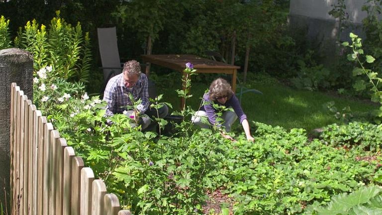 Bauerngarten