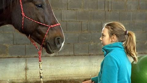 Hambach - Pferd und Mensch auf dem Rother Hof