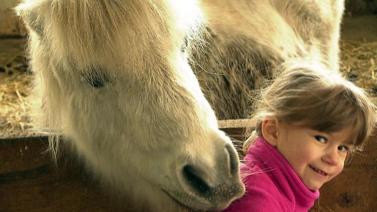 Paradies für Pferdeliebhaber