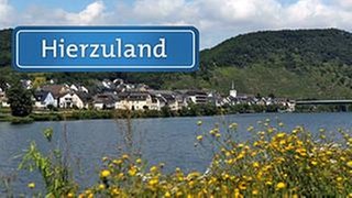 Blick auf den Ort Löf