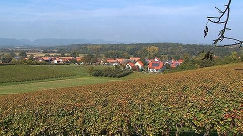 Blick auf Hergersweiler