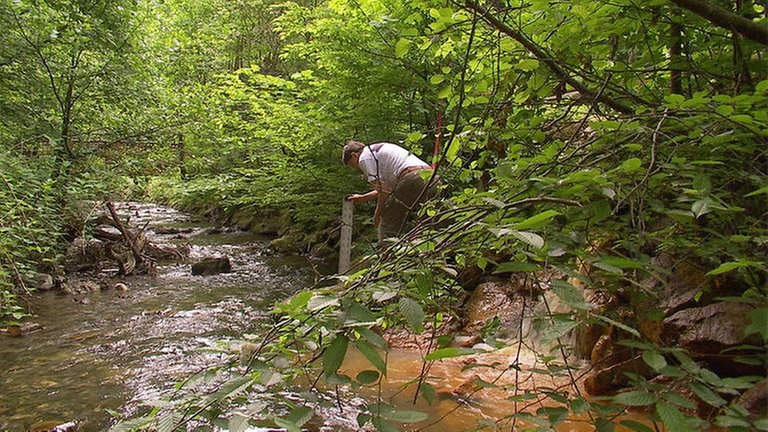 Der Kautenbach in Bad Wildstein