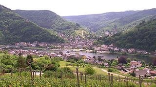 Ortsansicht von Bad Wildstein