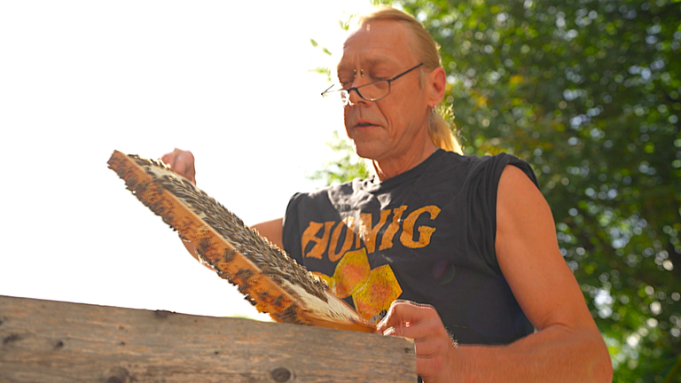 Imker Heiner Behrendt 