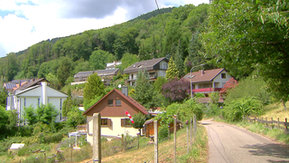 Die Slevogtstraße in Leinsweiler