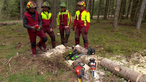 Vier Mitglieder der Freiwilligen Feuerwehr in Furtwangen mit Akkumotorsägen