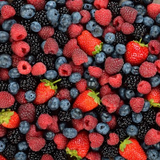 Verschiedene Beeren. Heidelbeeren, Himbeeren, Erdbeeren, Brombeeren. So gesund sind Beeren.