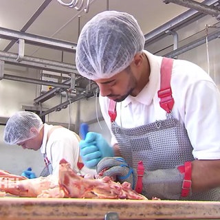 Metzger Auszubildender bei der Arbeit